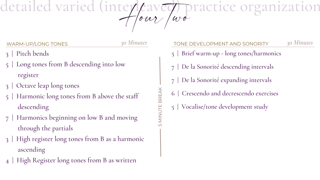Hour 2 Detailed Practice Organization | Sarah Weisbrod, Flutist