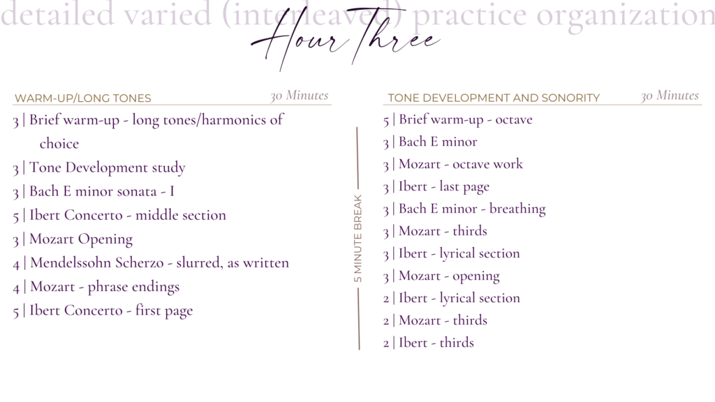 Hour 3 Detailed Practice Organization | Sarah Weisbrod, Flutist